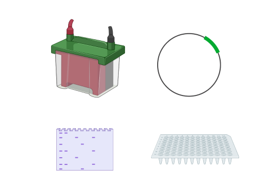 Cell and biology techniques